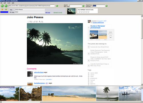 YouTube/Flickr Downloader