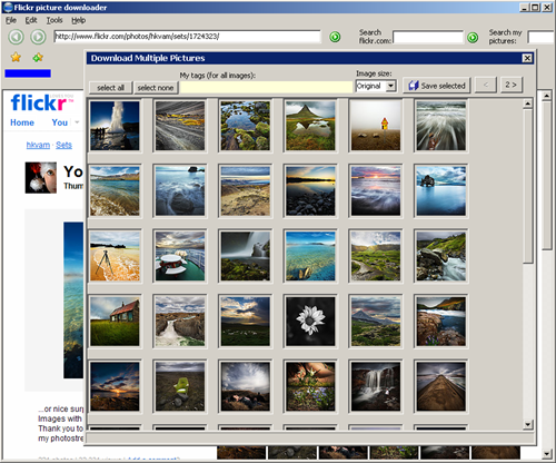 YouTube/Flickr Downloader